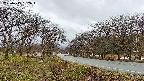 takano1-20250415152018.jpg