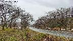 takano1-20250415160017.jpg