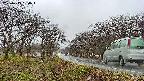 takano1-20250415164018.jpg