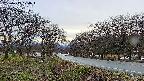 takano1-20250415174017.jpg