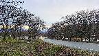 takano1-20250415175017.jpg