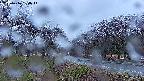 takano1-20250416050015.jpg