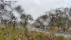 takano1-20250416061017.jpg