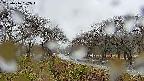 takano1-20250416062016.jpg