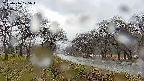 takano1-20250416075017.jpg