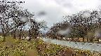 takano1-20250416104017.jpg