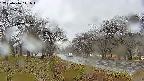 takano1-20250416111017.jpg