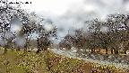 takano1-20250416120016.jpg