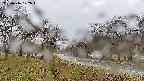 takano1-20250416122017.jpg