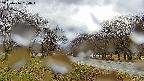 takano1-20250416134016.jpg