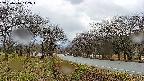takano1-20250416142018.jpg