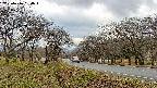 takano1-20250416154017.jpg