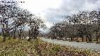 takano1-20250416161018.jpg