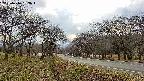 takano1-20250416163017.jpg