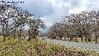 takano1-20250416171017.jpg
