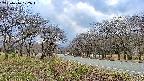 takano1-20250416172017.jpg