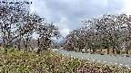 takano1-20250416175018.jpg