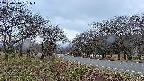 takano1-20250416181018.jpg