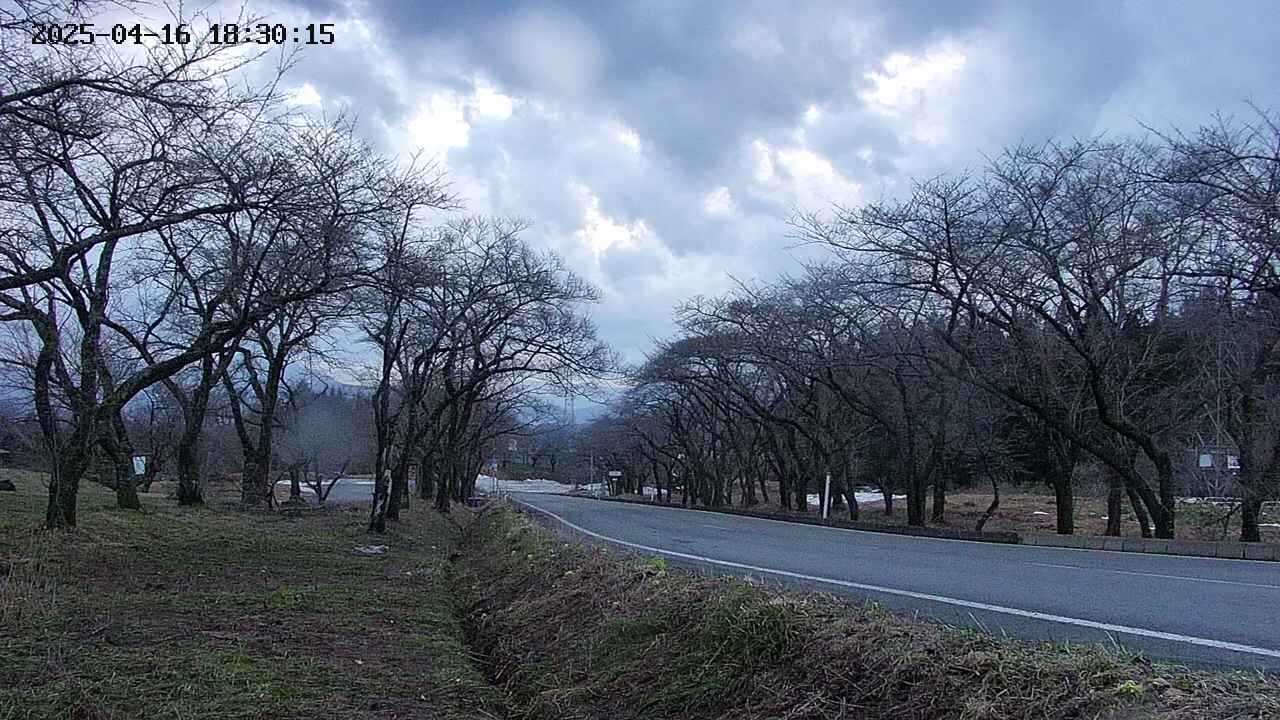 takano1-20250416183017.jpg