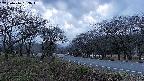 takano1-20250416183017.jpg