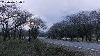 takano1-20250416184016.jpg