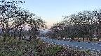 takano1-20250417052017.jpg