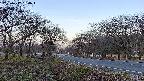 takano1-20250417060017.jpg