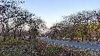 takano1-20250417061016.jpg