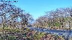 takano1-20250417063016.jpg