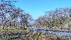 takano1-20250417071016.jpg