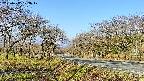 takano1-20250417073018.jpg