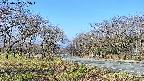 takano1-20250417075016.jpg