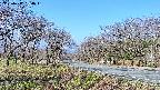takano1-20250417080017.jpg