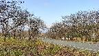 takano1-20250417081016.jpg