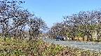 takano1-20250417082017.jpg