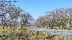 takano1-20250417083016.jpg