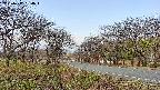 takano1-20250417084016.jpg
