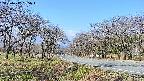 takano1-20250417085016.jpg