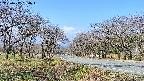 takano1-20250417090017.jpg