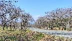 takano1-20250417091017.jpg