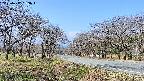 takano1-20250417093017.jpg