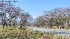 takano1-20250417094018.jpg