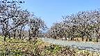 takano1-20250417100018.jpg