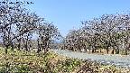 takano1-20250417101018.jpg