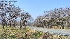 takano1-20250417102017.jpg