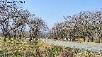takano1-20250417103016.jpg