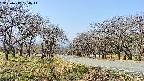 takano1-20250417104015.jpg