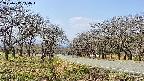 takano1-20250417110017.jpg