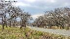 takano1-20250417123017.jpg