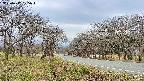 takano1-20250417125017.jpg